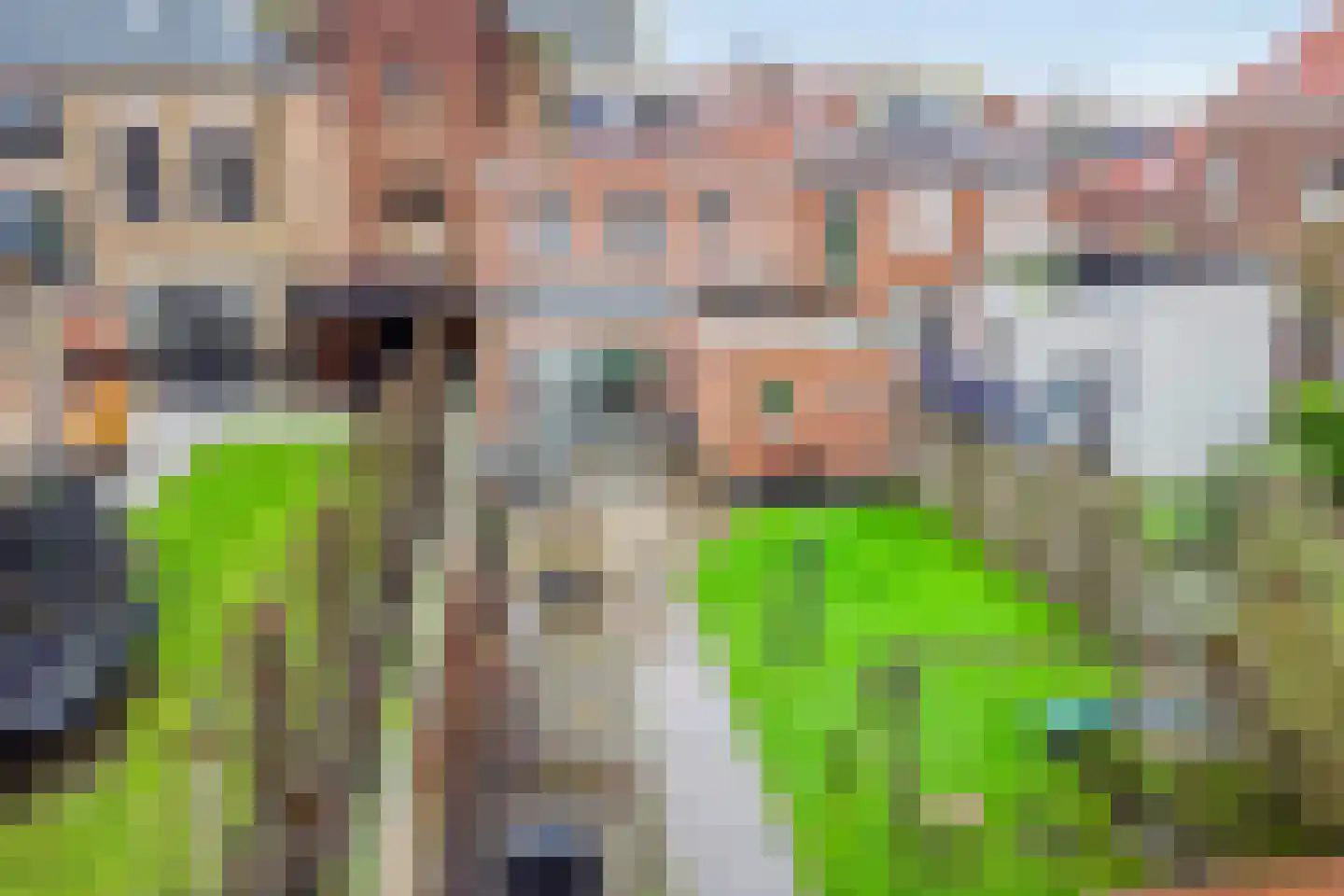 Koninginnestraat 20 IJzendijke thumbnail 44