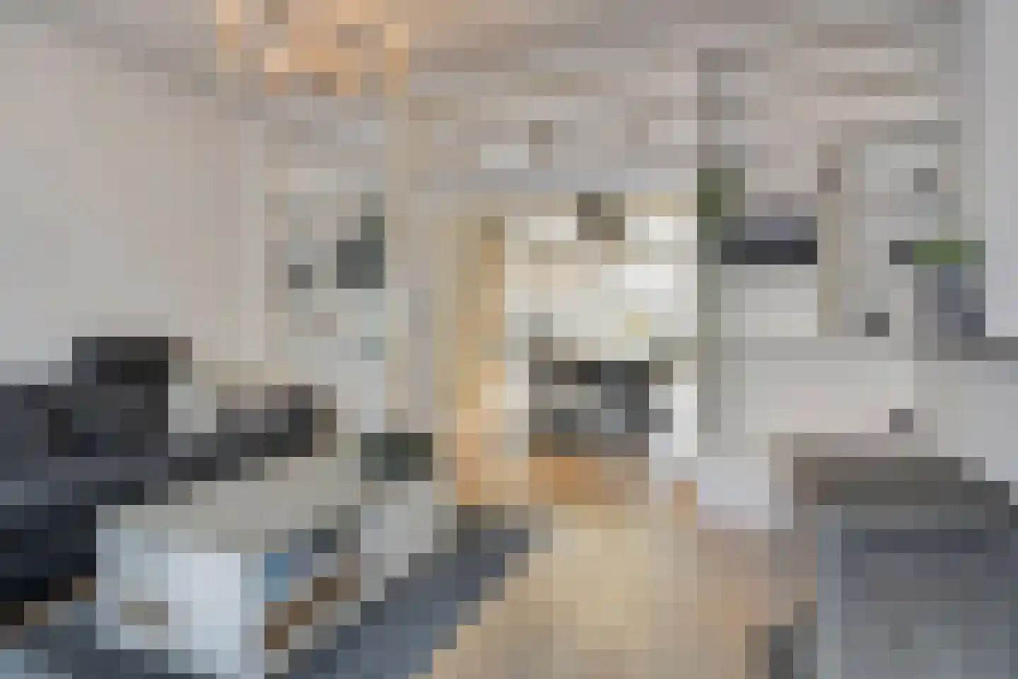 Koninginnestraat 20 IJzendijke thumbnail 8