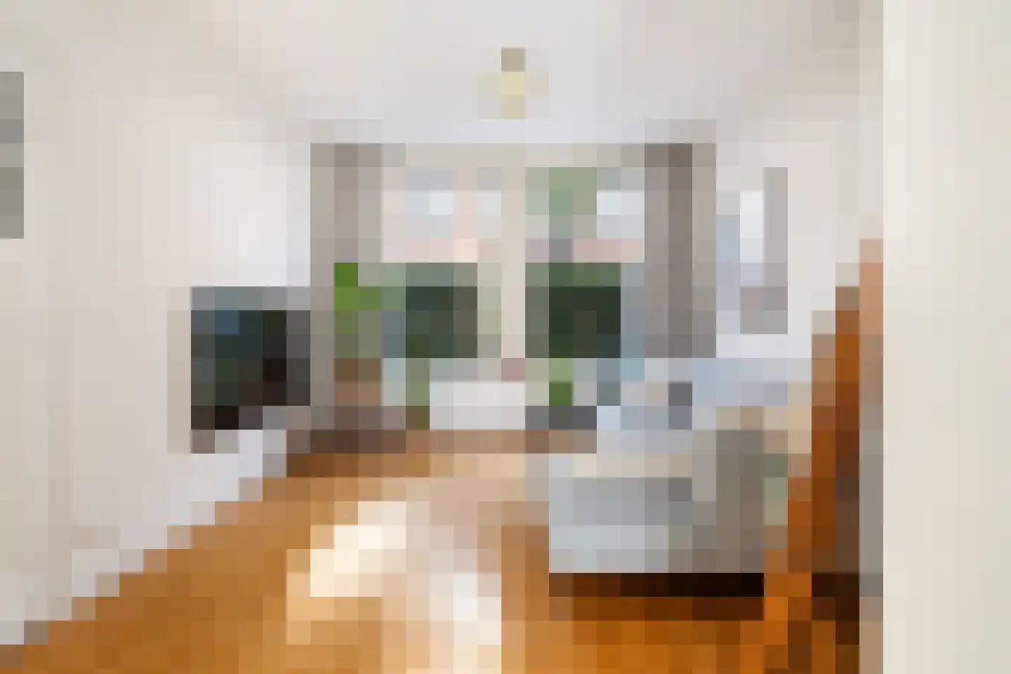 Koninginnestraat 22 Dordrecht thumbnail 10