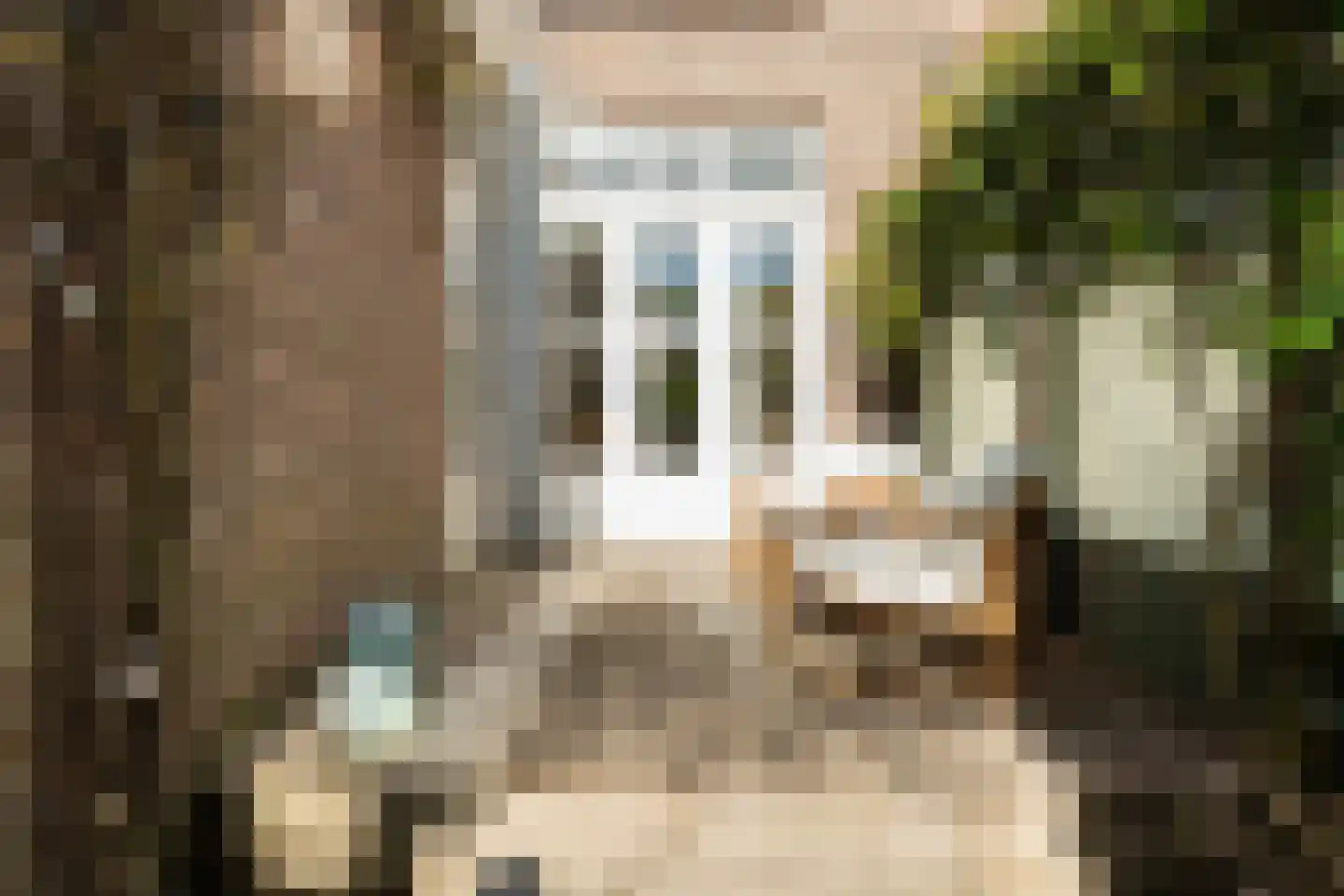 Koninginnestraat 22 Dordrecht thumbnail 32