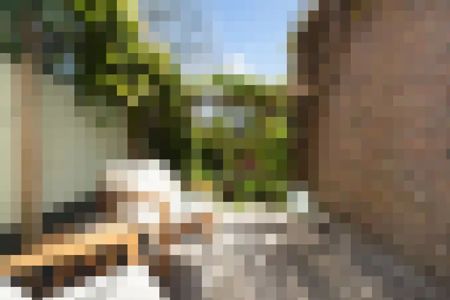 Koninginnestraat 22 Dordrecht thumbnail 33