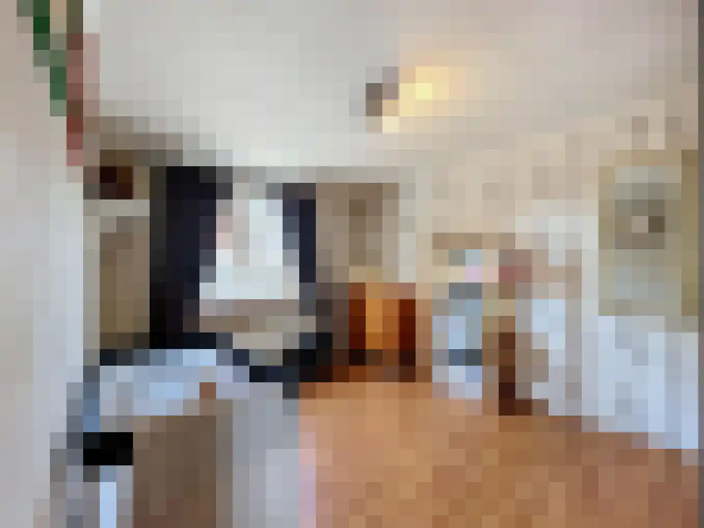 Koninginnestraat 29 IJzendijke thumbnail 17