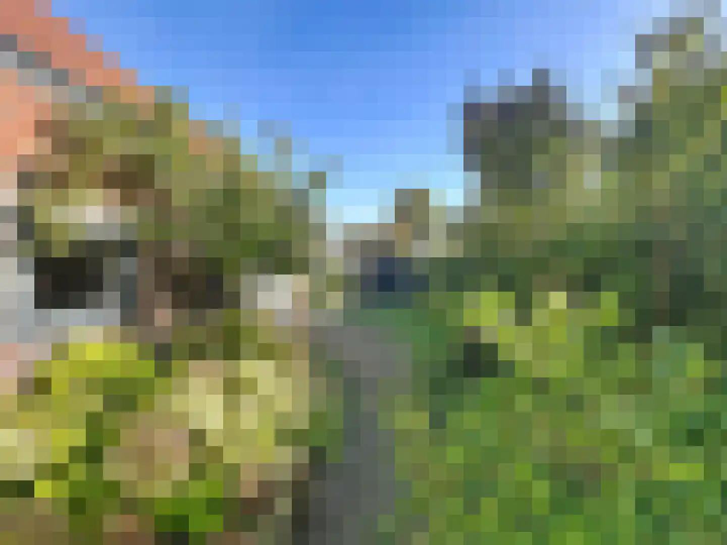 Koninginnestraat 29 IJzendijke thumbnail 25