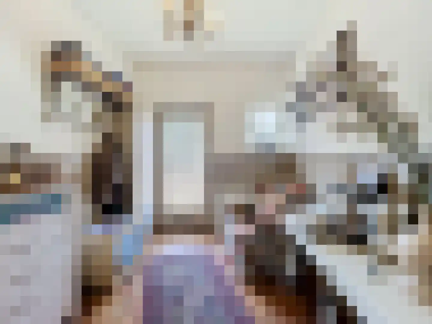 Koninginnestraat 29 IJzendijke thumbnail 4