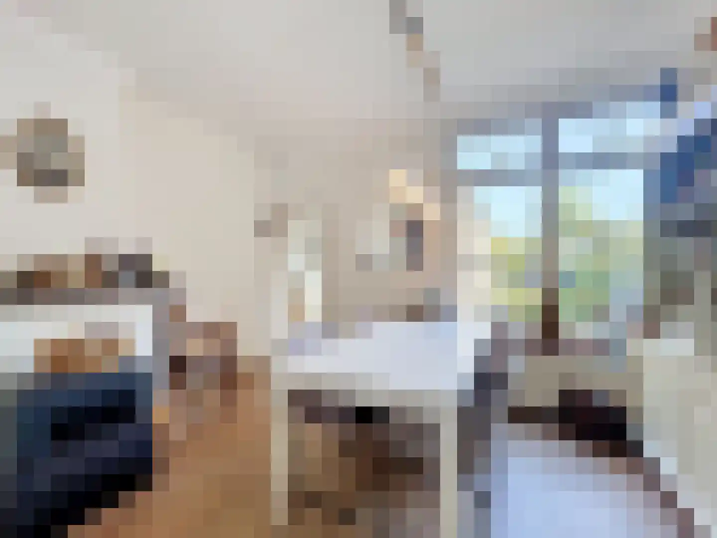 Koninginnestraat 29 IJzendijke thumbnail 6