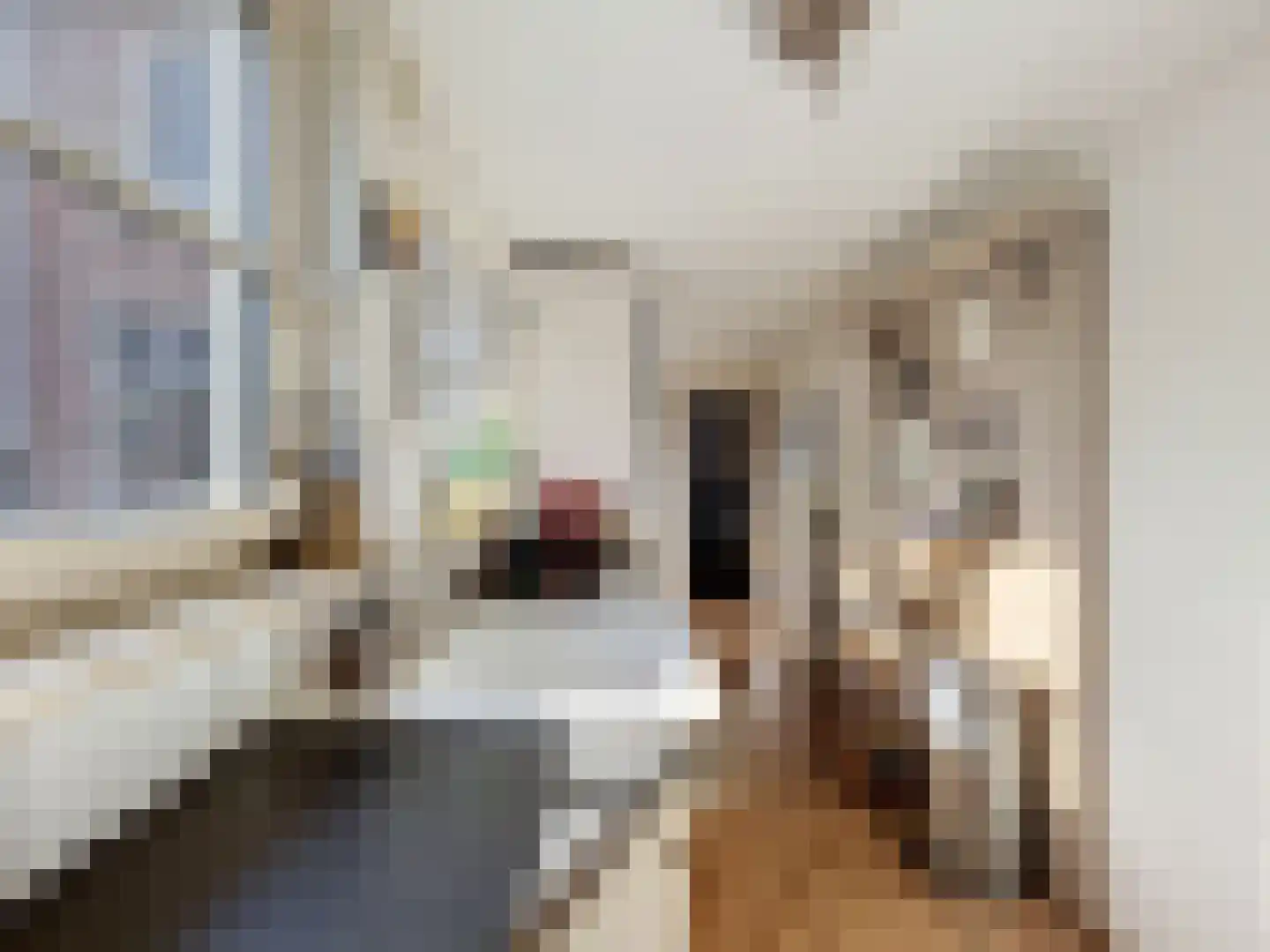 Koninginnestraat 29 IJzendijke thumbnail 9