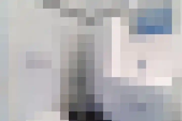 Koninginnestraat 3 Geldrop thumbnail 30