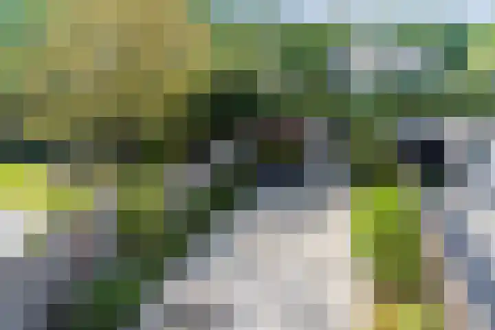Koninginnestraat 3 Geldrop thumbnail 33