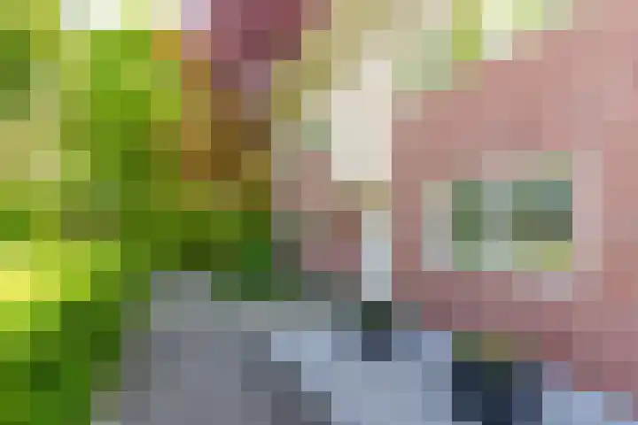 Koninginnestraat 3 Geldrop thumbnail 40