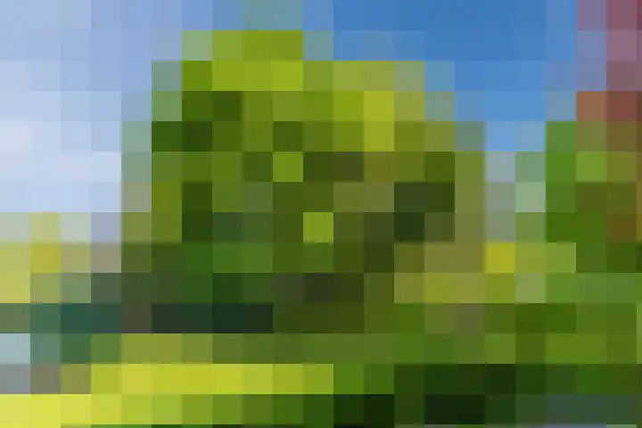 Koninginnestraat 3 Geldrop thumbnail 42