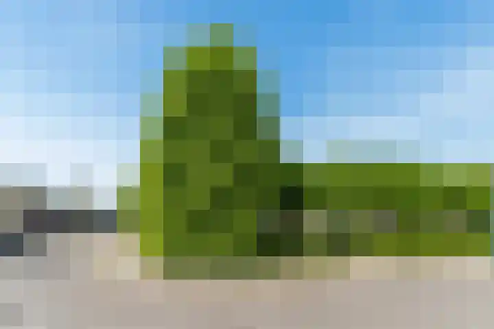 Koninginnestraat 3 Geldrop thumbnail 46