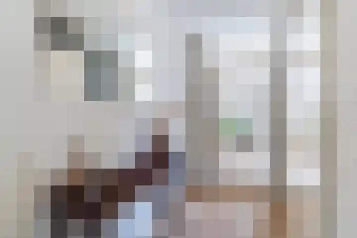 Koninginnestraat 3 Geldrop thumbnail 5