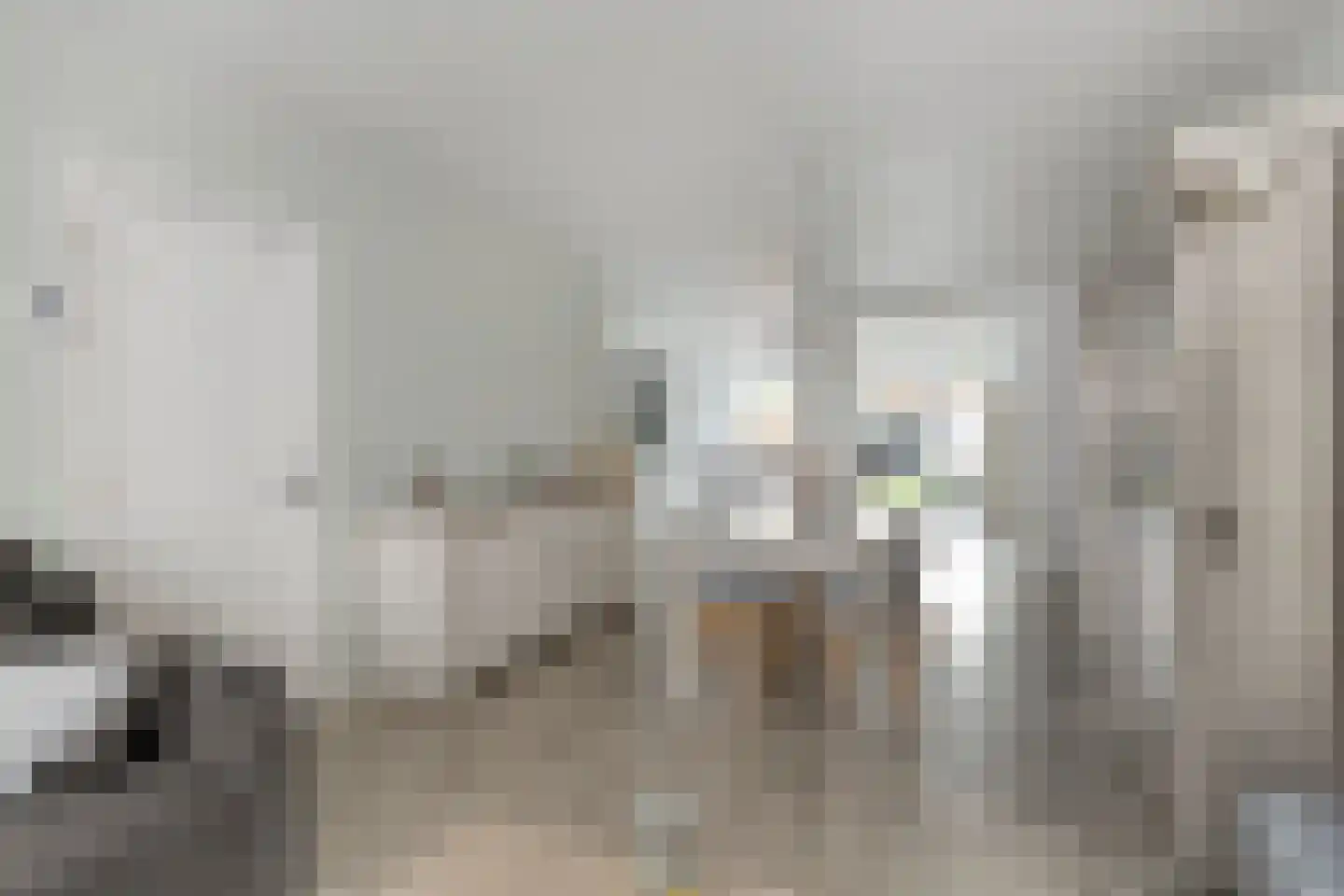 Koninginnestraat 3 Westdorpe thumbnail 7