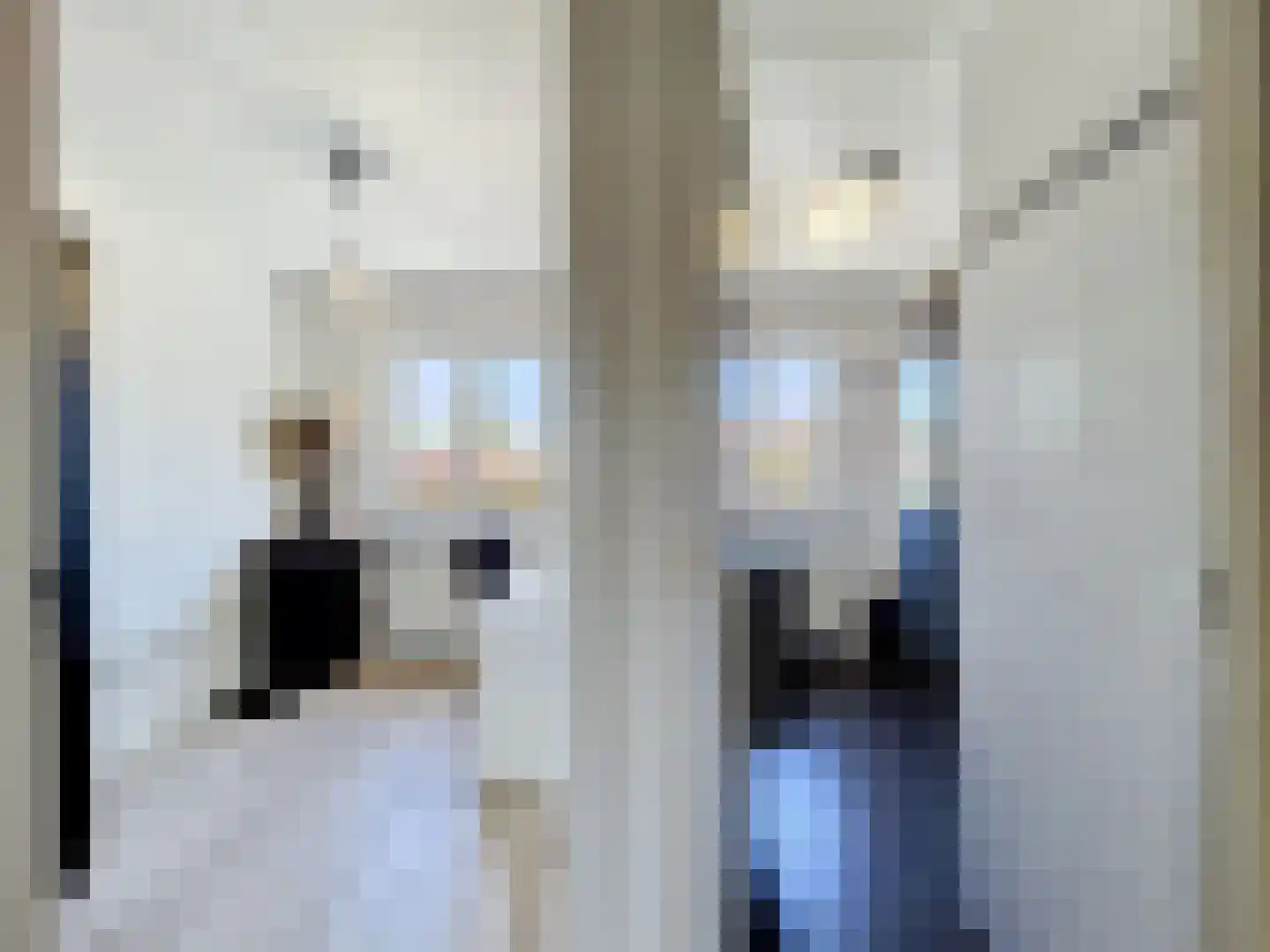 Koninginnestraat 31 IJzendijke thumbnail 10