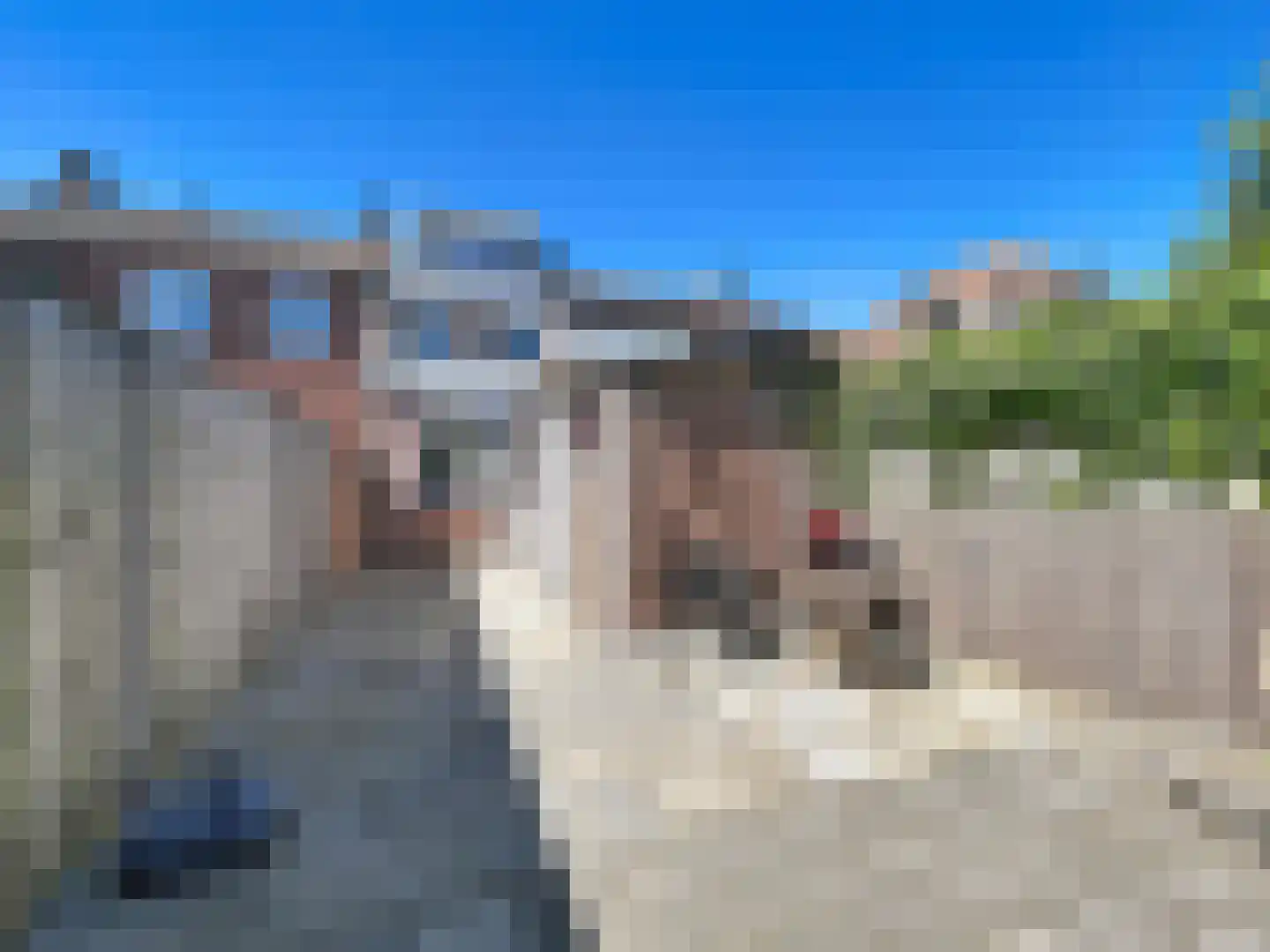 Koninginnestraat 31 IJzendijke thumbnail 18