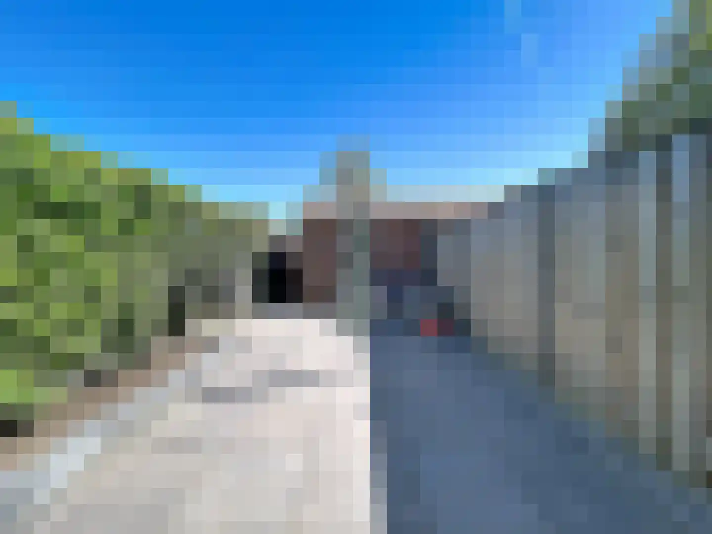 Koninginnestraat 31 IJzendijke thumbnail 21