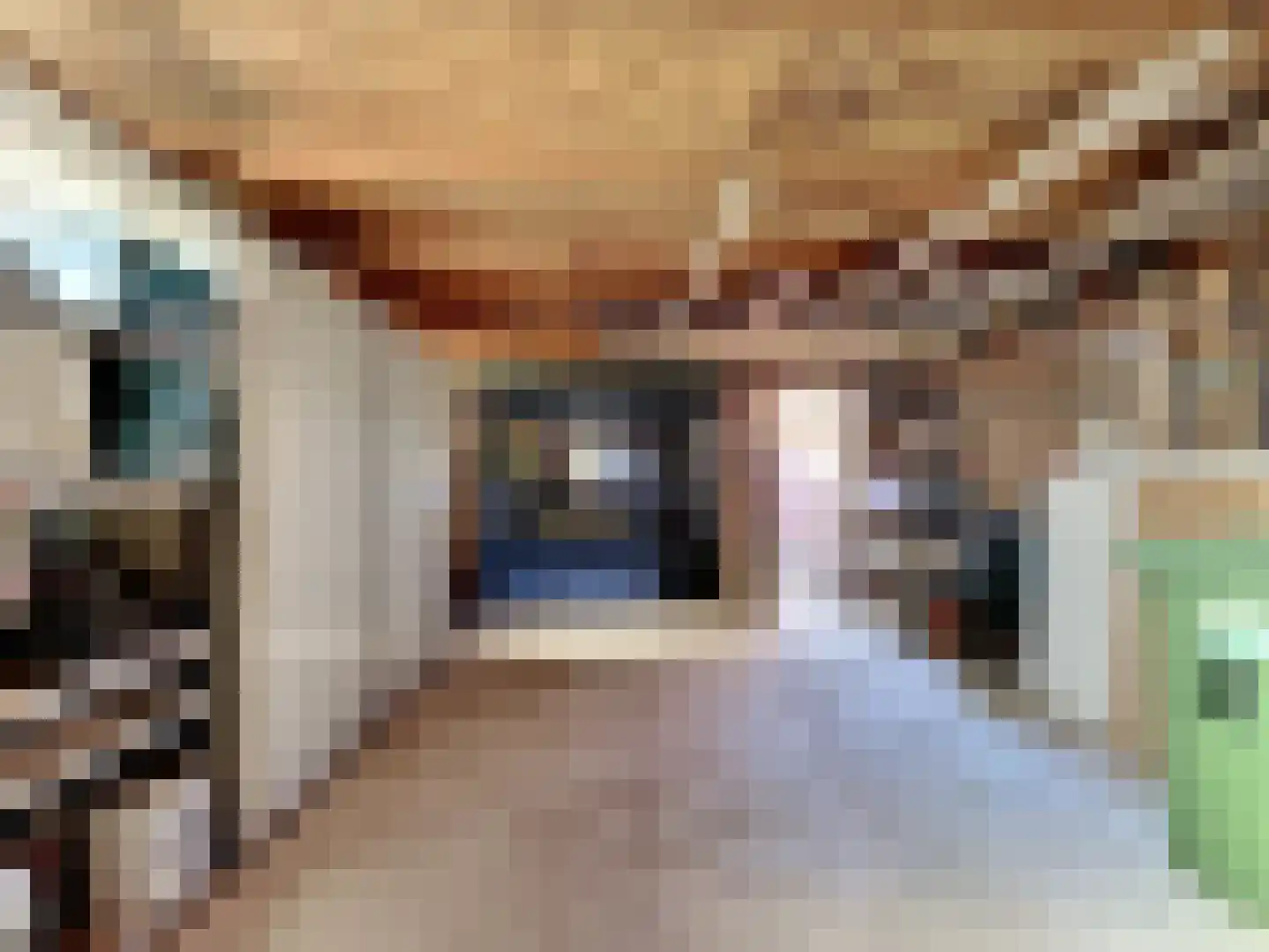Koninginnestraat 31 IJzendijke thumbnail 25
