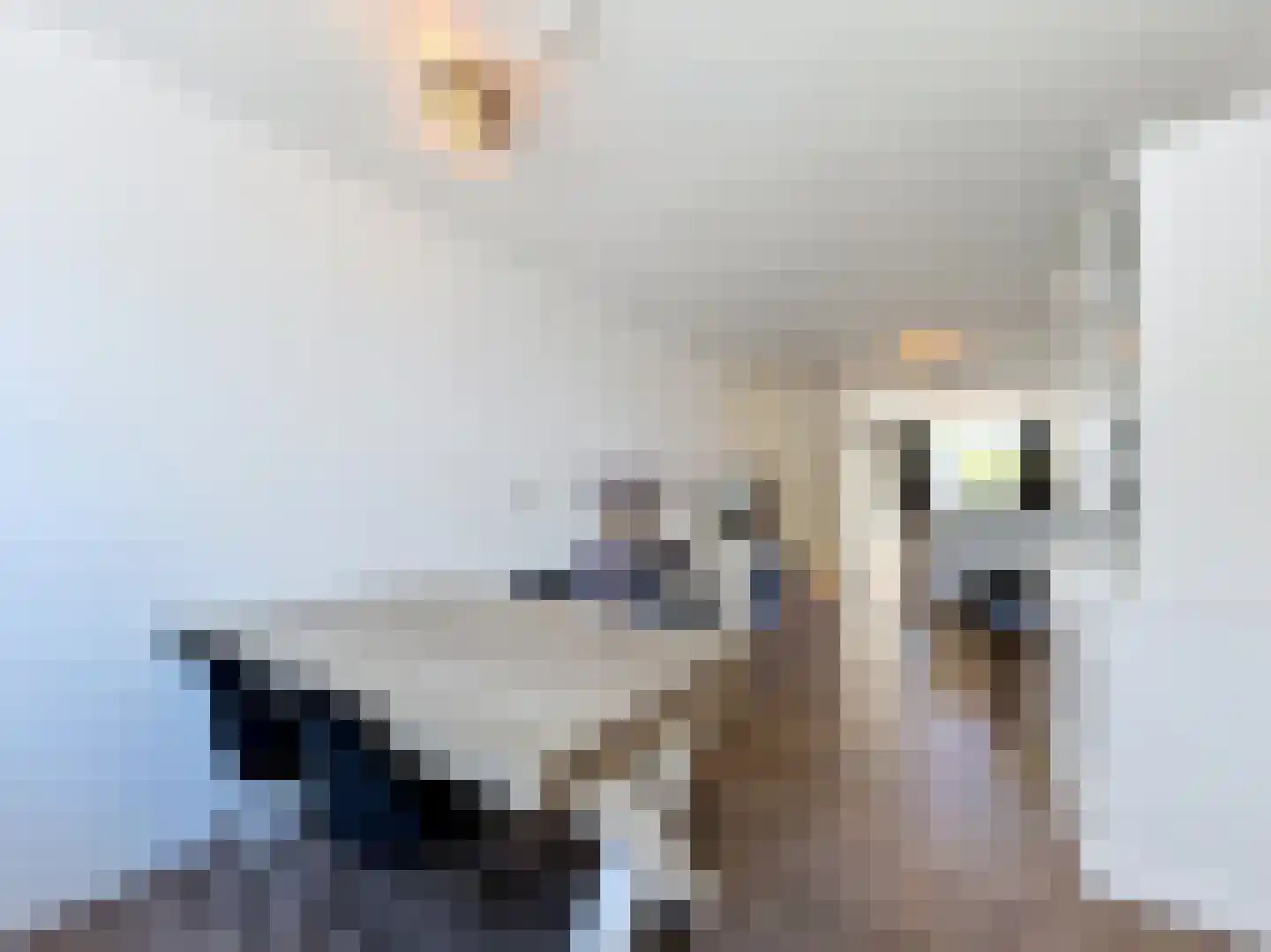 Koninginnestraat 31 IJzendijke thumbnail 4