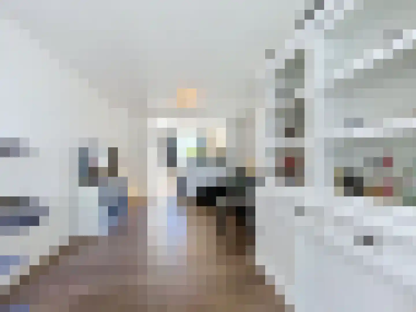 Koninginnestraat 31 IJzendijke thumbnail 5