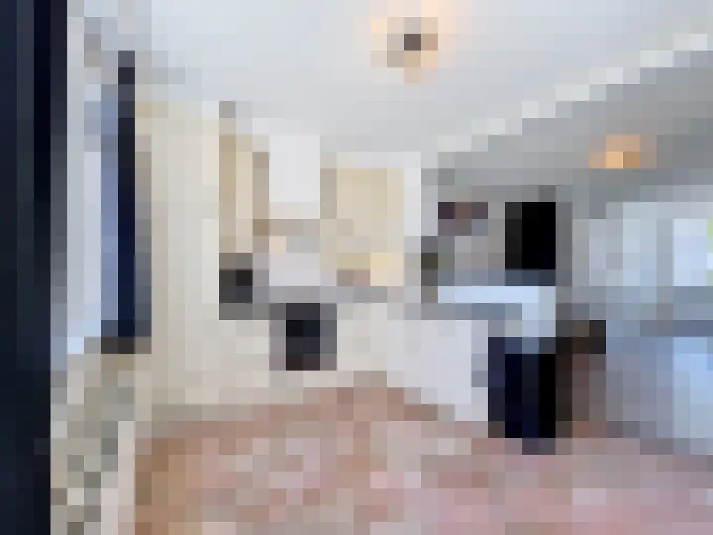 Koninginnestraat 31 IJzendijke thumbnail 9