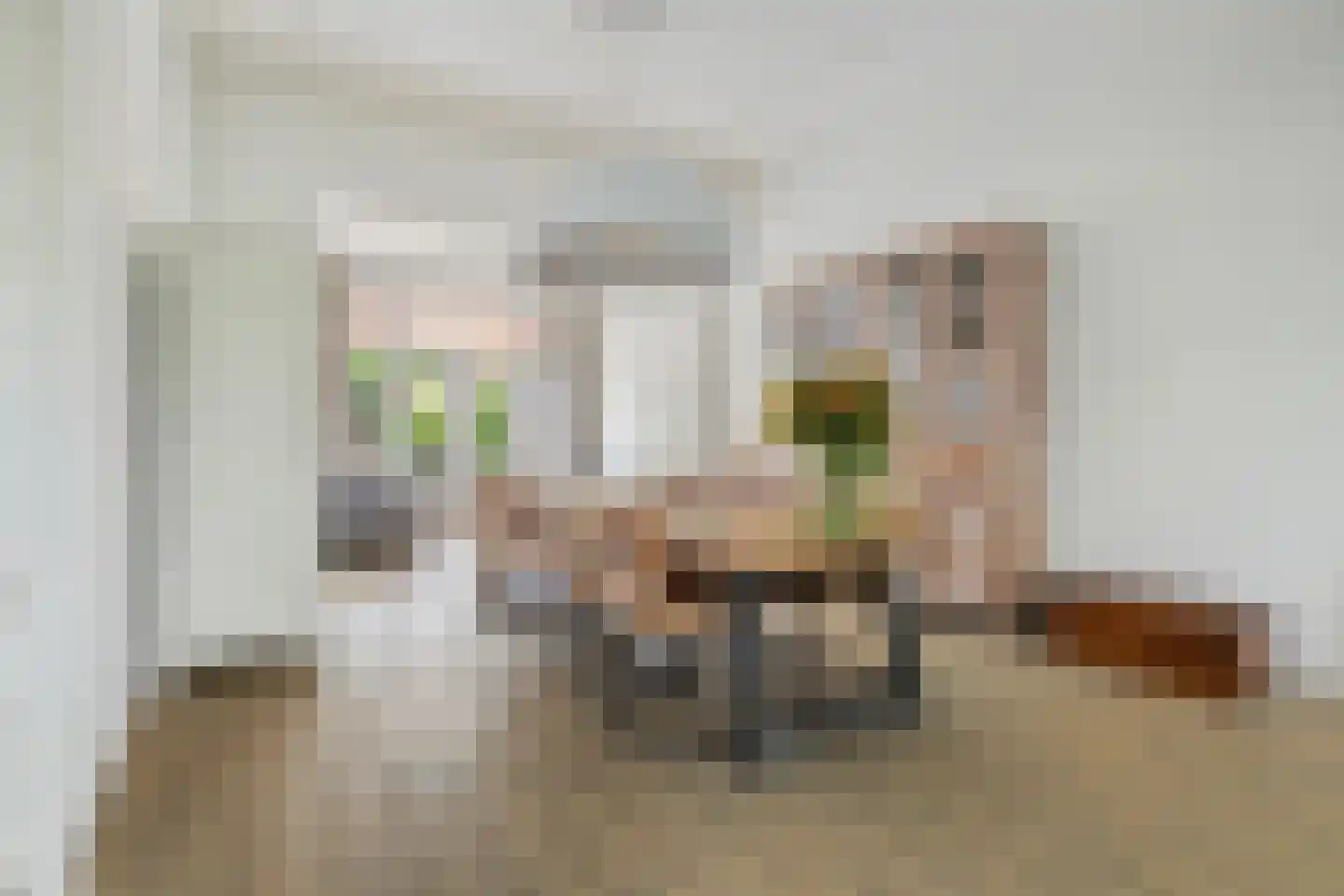 Koninginnestraat 32 Breda thumbnail 19