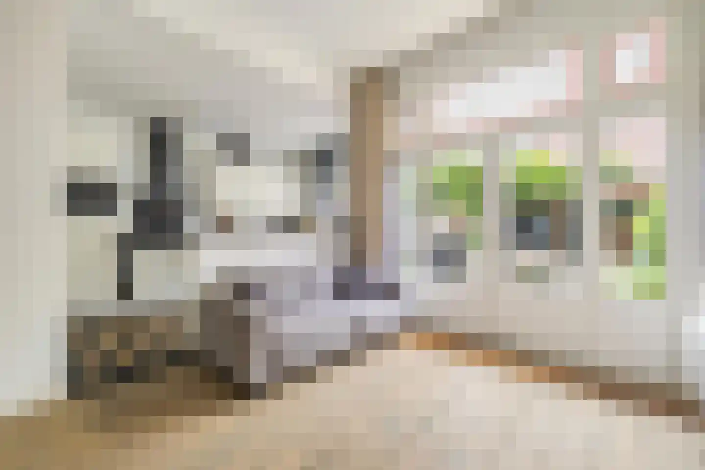 Koninginnestraat 32 Breda thumbnail 25