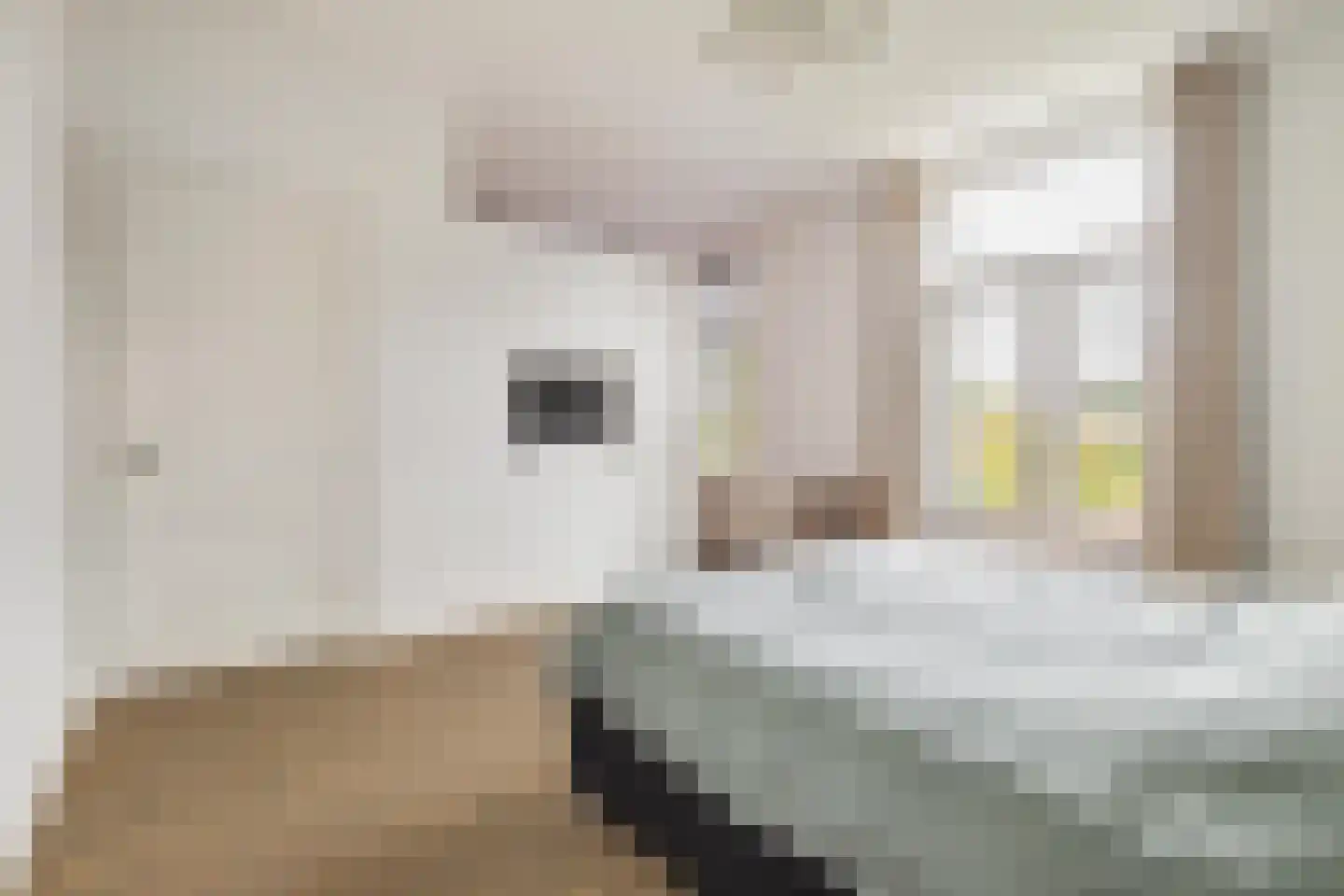 Koninginnestraat 32 Breda thumbnail 32
