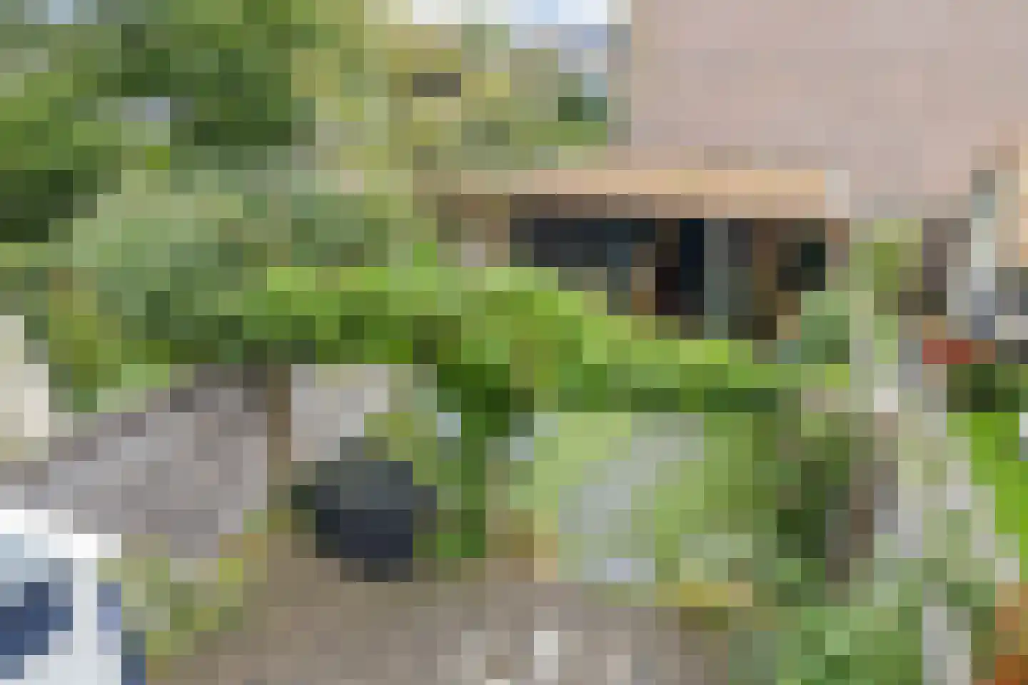 Koninginnestraat 32 Breda thumbnail 37