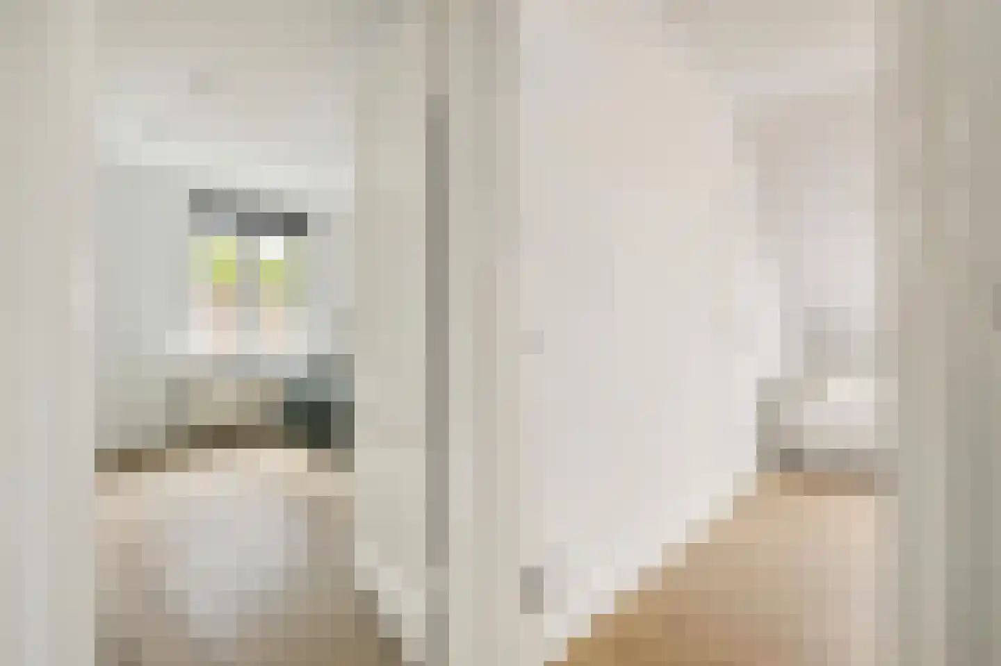 Koninginnestraat 32 Breda thumbnail 47