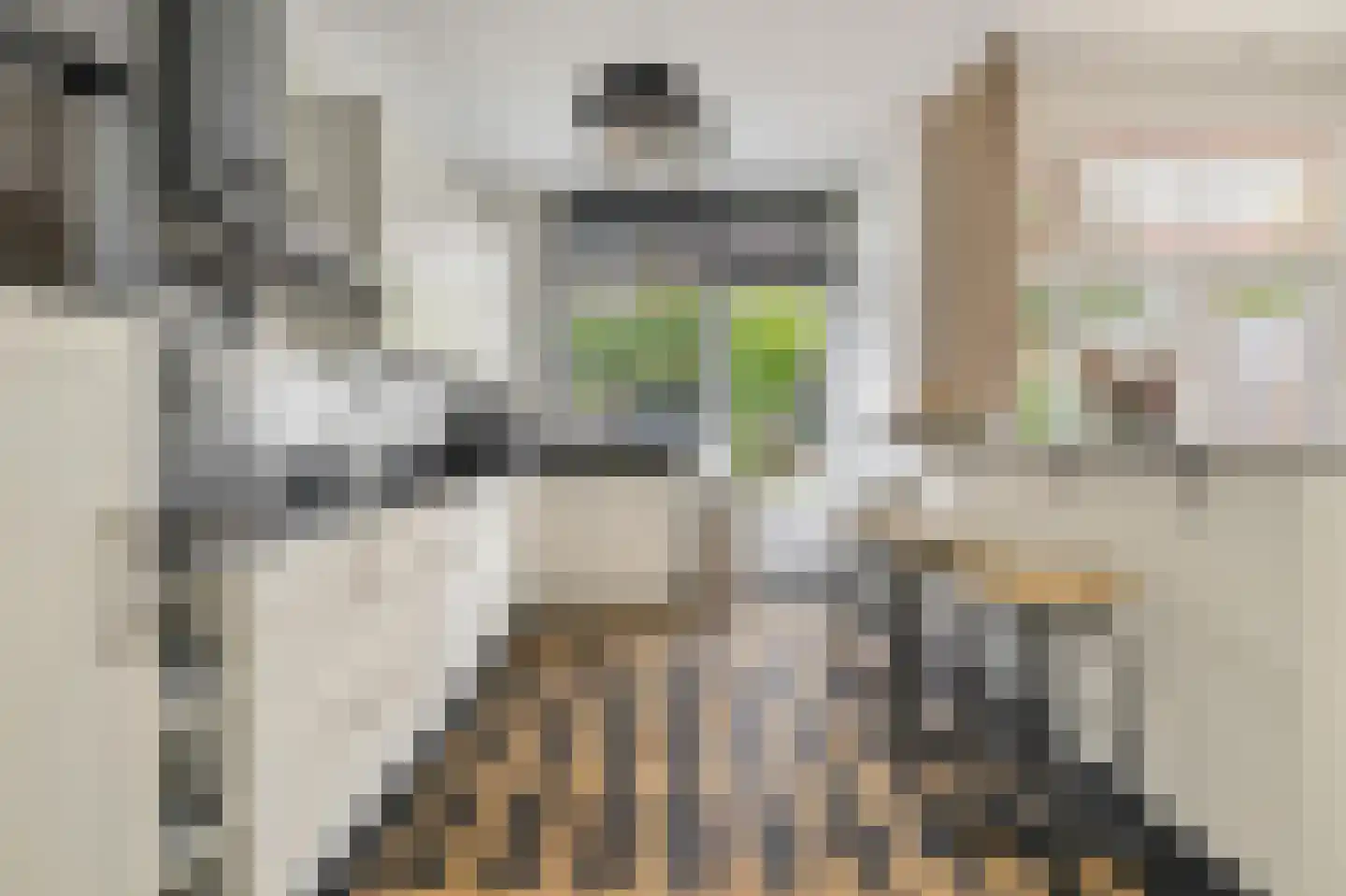 Koninginnestraat 32 Breda thumbnail 5