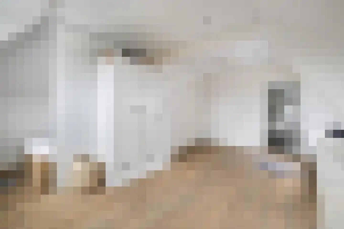 Koninginnestraat 32 Breda thumbnail 53