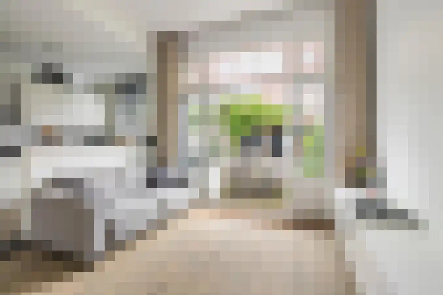 Koninginnestraat 32 Breda thumbnail 58
