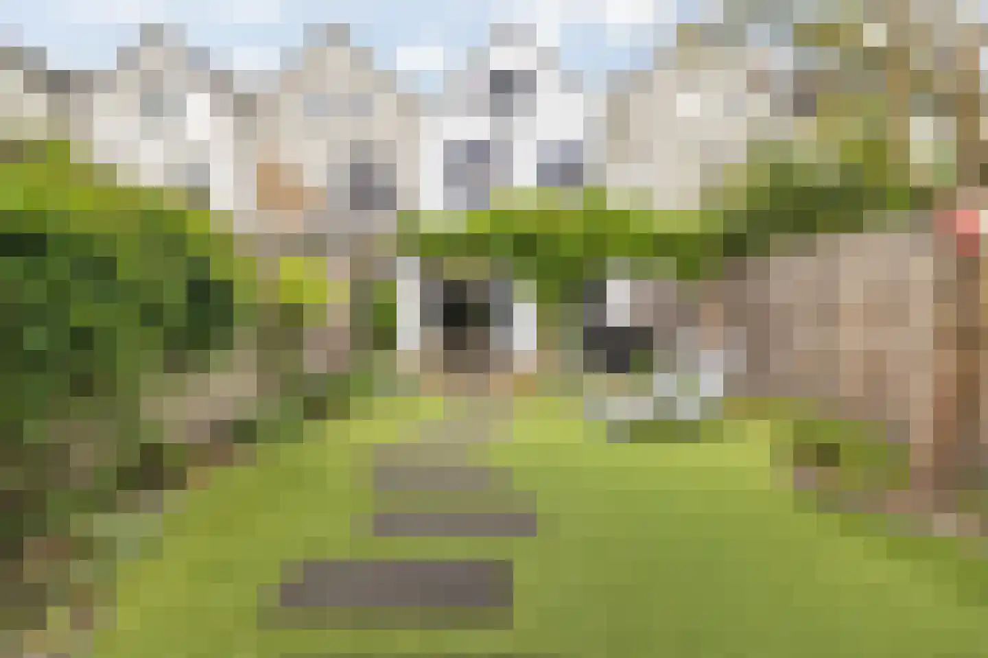 Koninginnestraat 32 Breda thumbnail 63