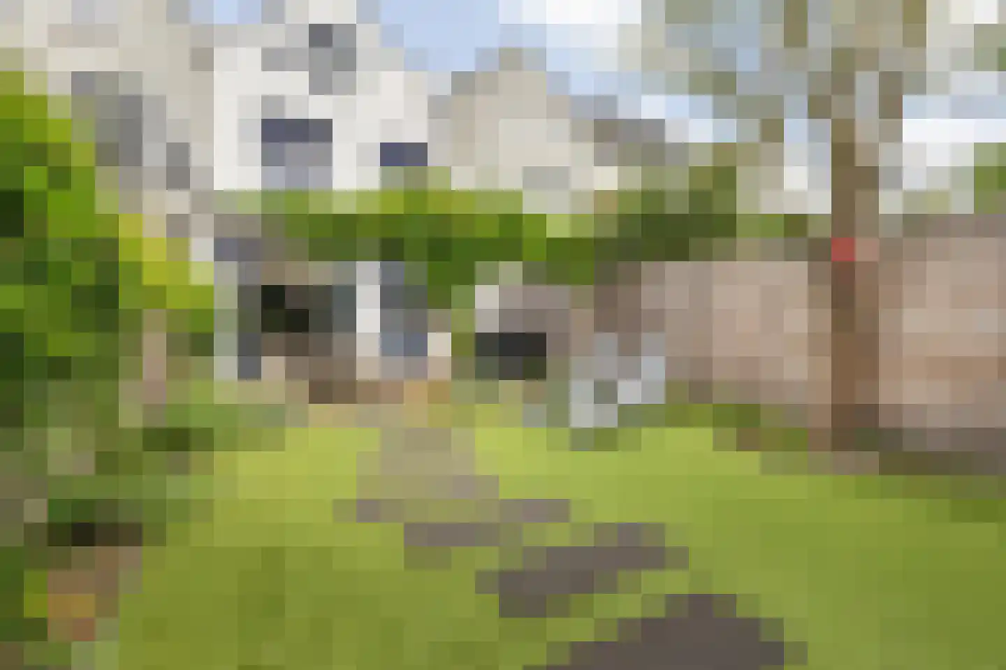 Koninginnestraat 32 Breda thumbnail 64