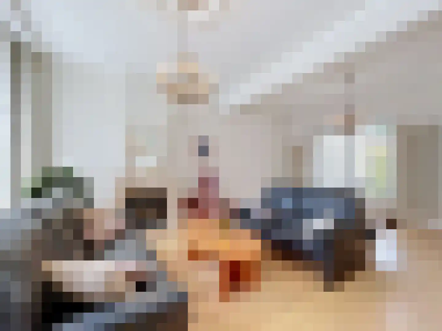 Koninginnestraat 39 IJzendijke thumbnail 8