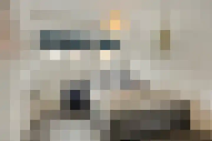Koninginnestraat 40 Dordrecht thumbnail 48