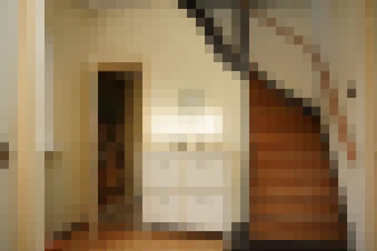 Koninginnestraat 41 IJzendijke thumbnail 17
