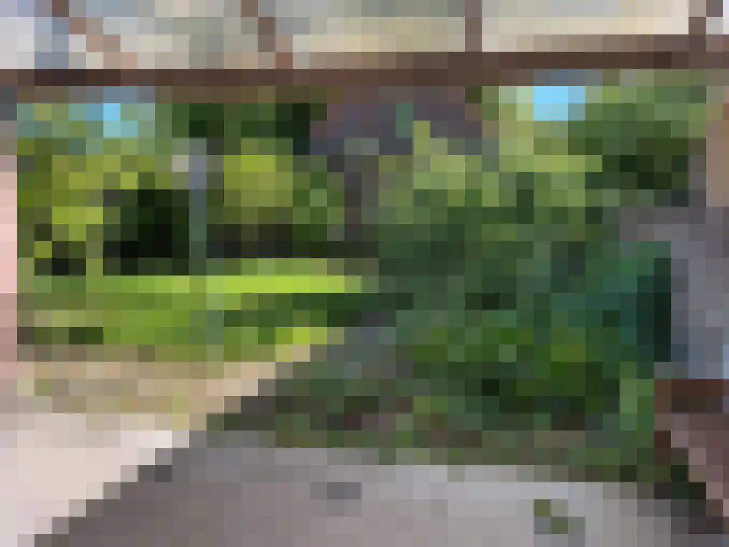 Koninginnestraat 41 IJzendijke thumbnail 37