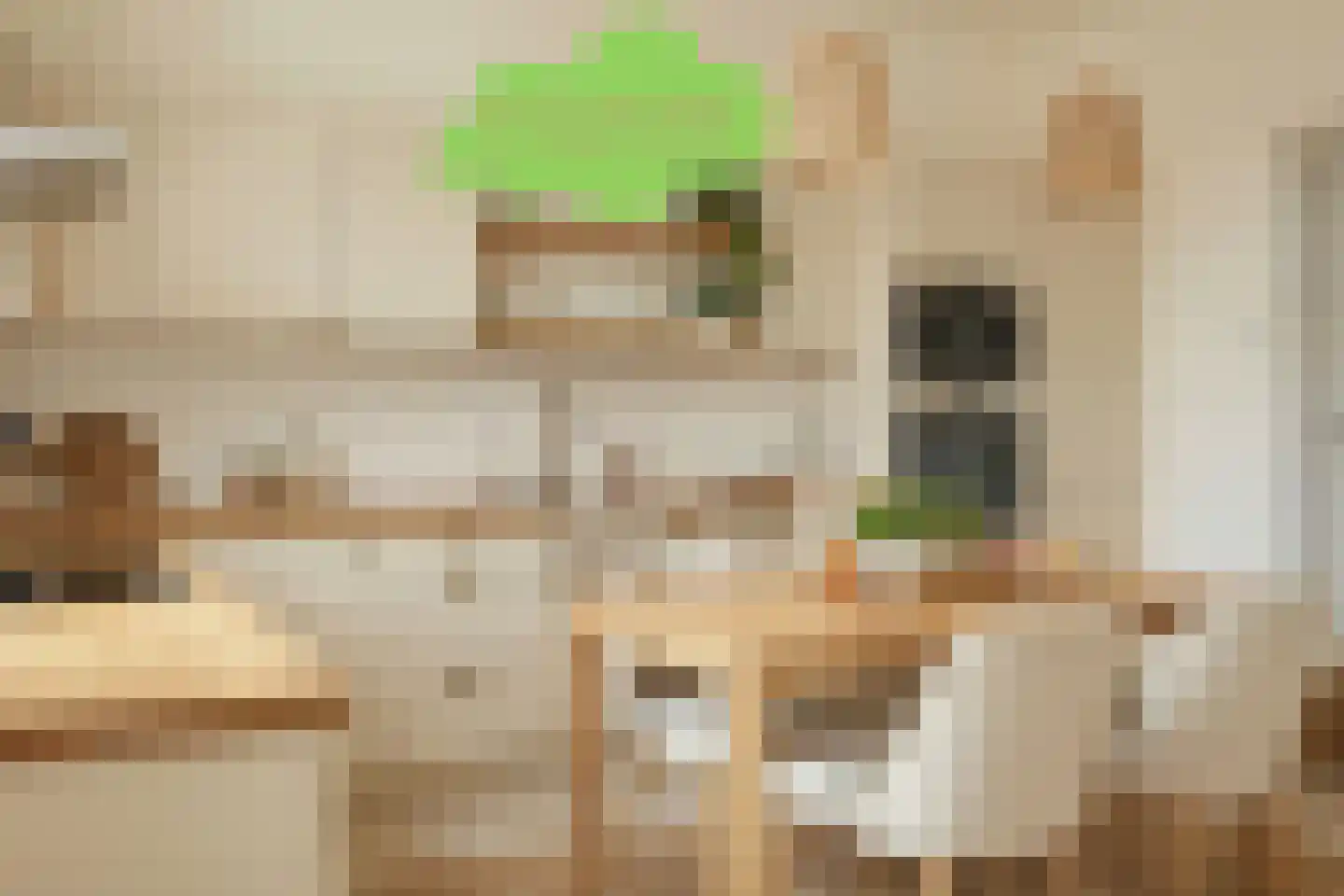 Koninginnestraat 41 IJzendijke thumbnail 5