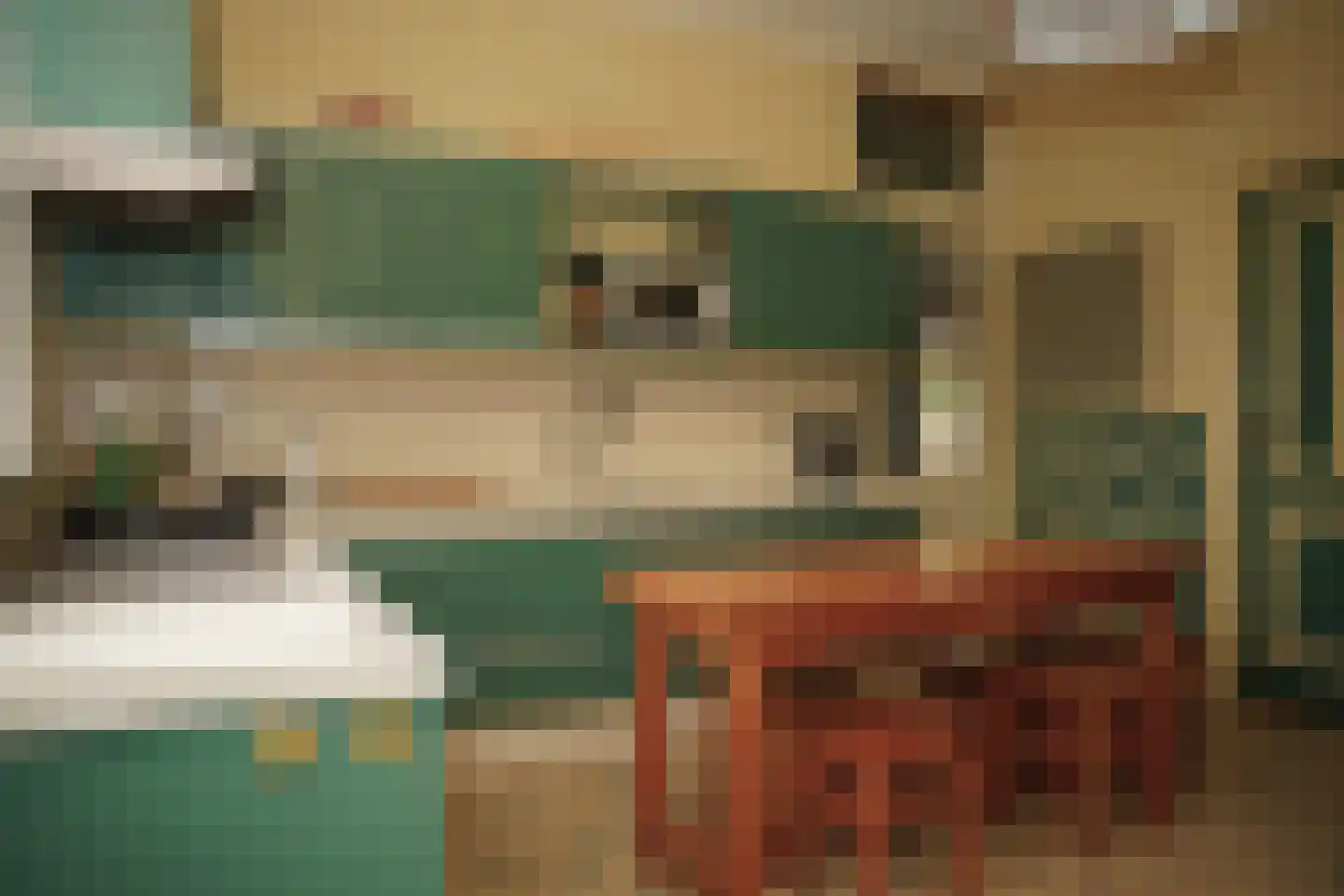 Koninginnestraat 41 IJzendijke thumbnail 6