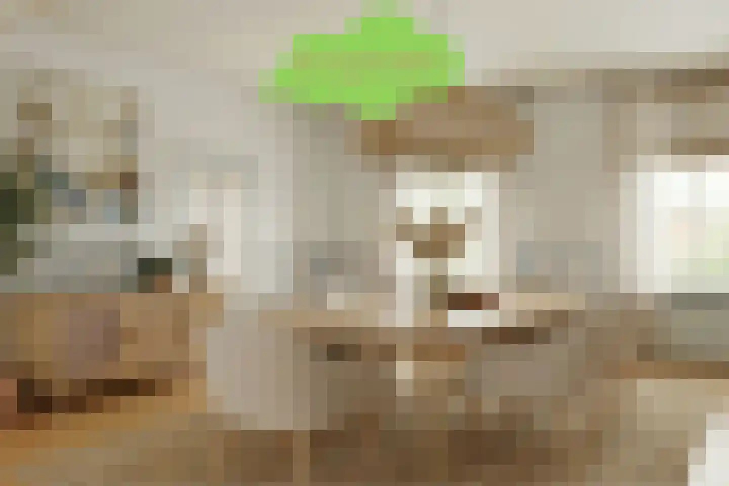 Koninginnestraat 41 IJzendijke thumbnail 7