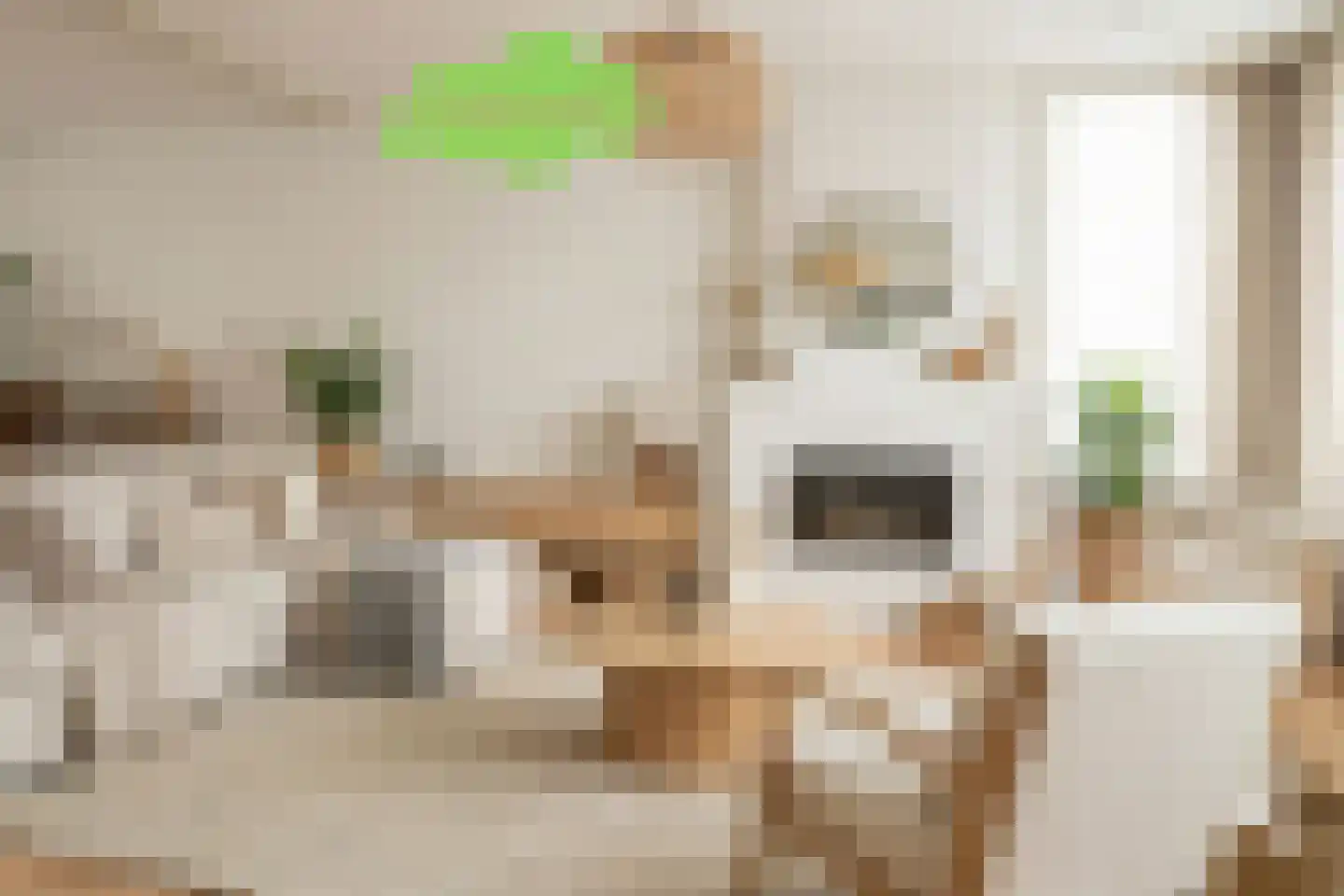 Koninginnestraat 41 IJzendijke thumbnail 9