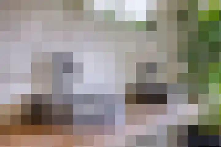 Koninginnestraat 49 Breda thumbnail 31