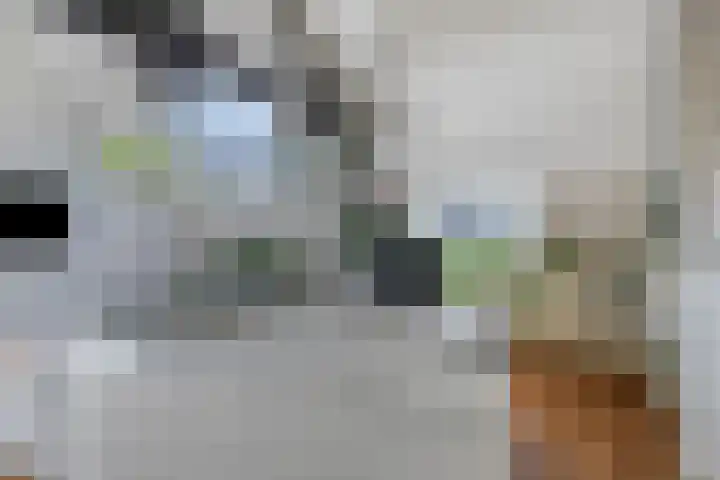 Koninginnestraat 49 Breda thumbnail 35