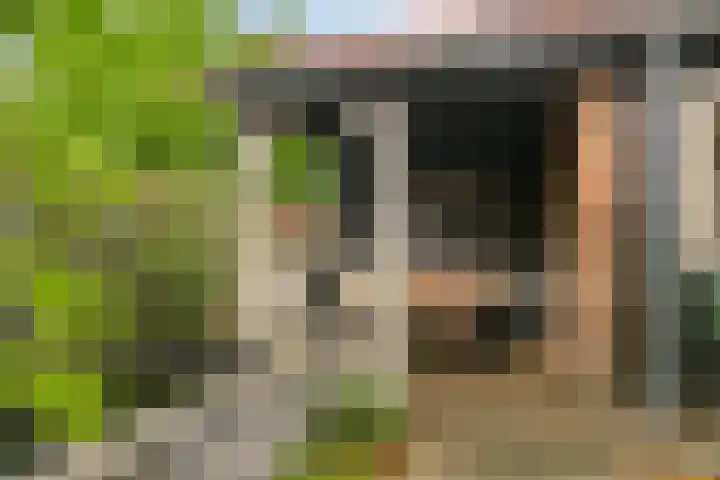 Koninginnestraat 49 Breda thumbnail 42