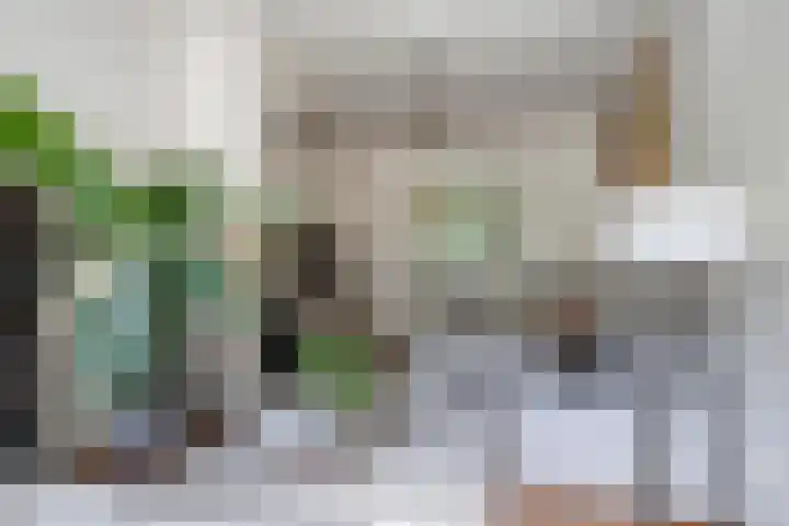 Koninginnestraat 49 Breda thumbnail 6