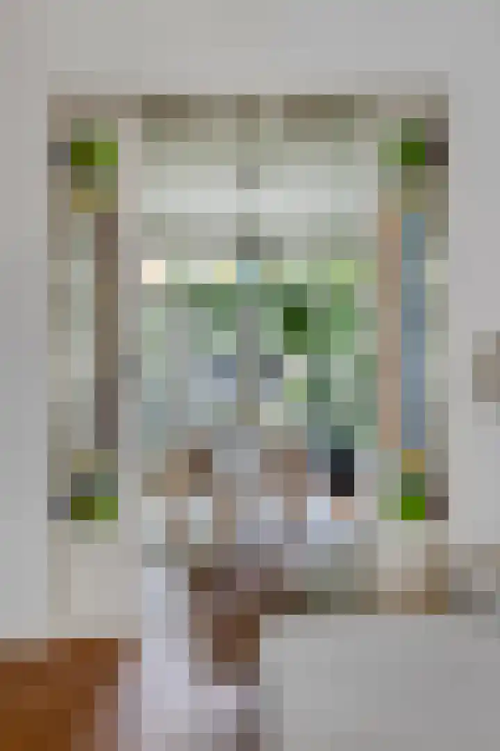 Koninginnestraat 49 Breda thumbnail 8