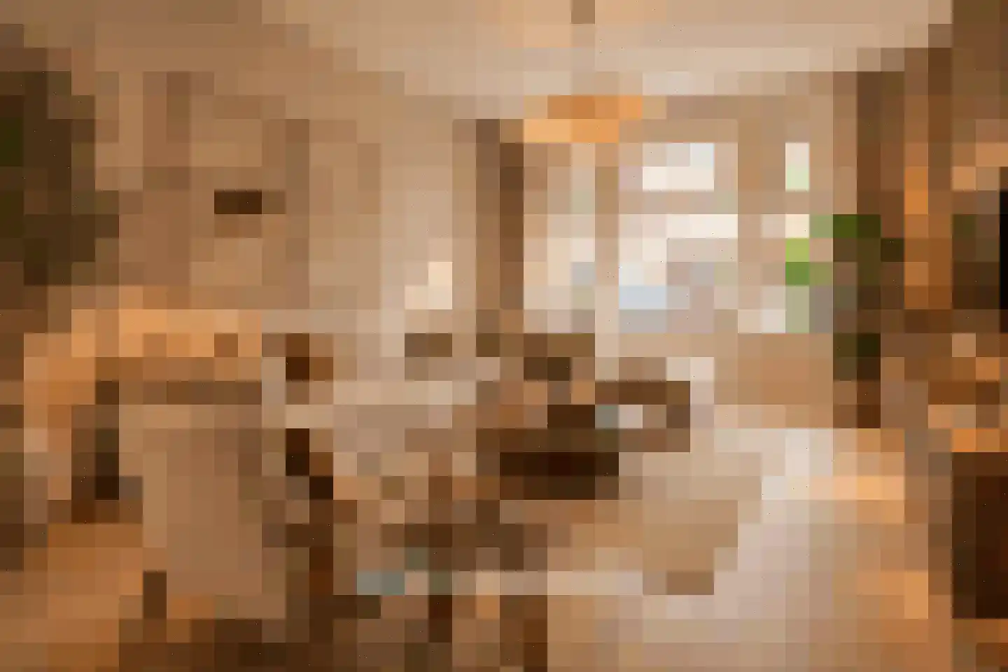 Koninginnestraat 59 Breda thumbnail 8