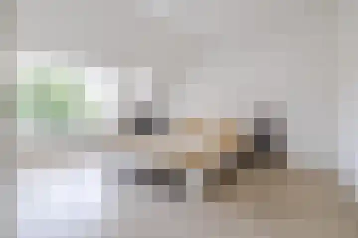Koninginnestraat 74 Breda thumbnail 4