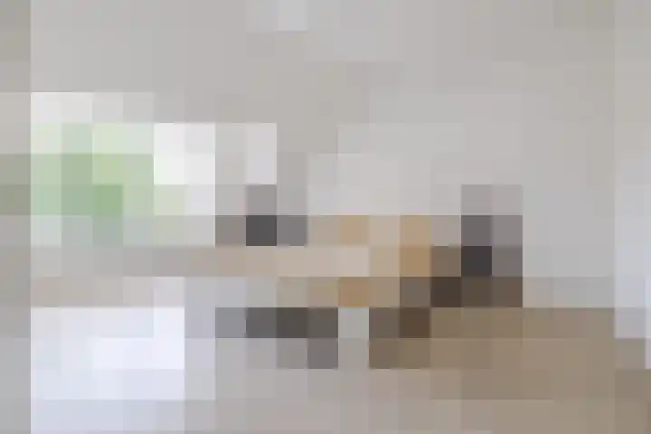 Koninginnestraat 74 Breda thumbnail 44